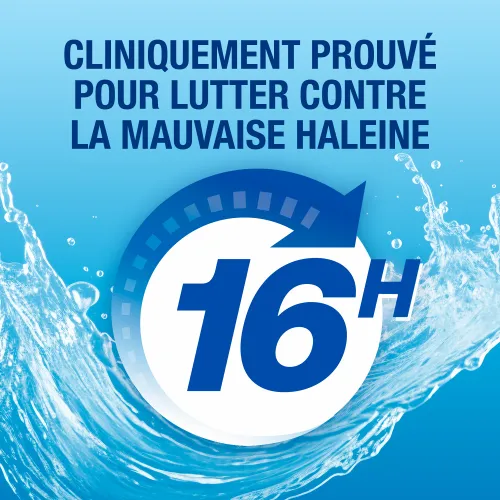 Bain de bouche White